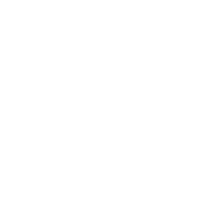 Location icon in white